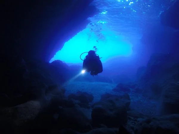 2 Fun Dives from Boat / Kissamos Diving Center, Chania Crete