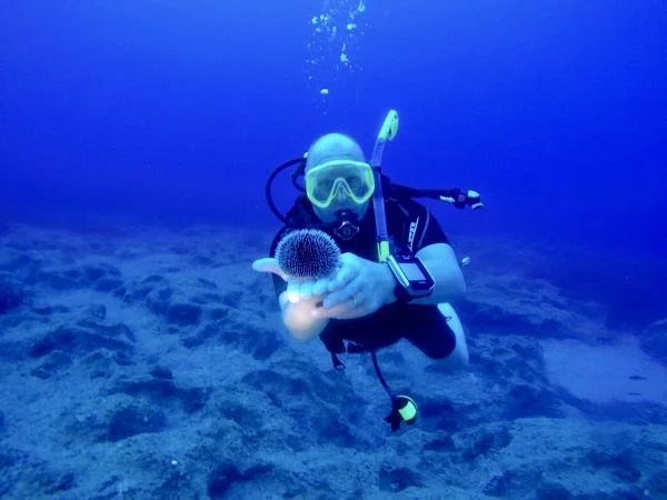 2 Fun Dives from Boat / Kissamos Diving Center, Chania Crete - Image 2